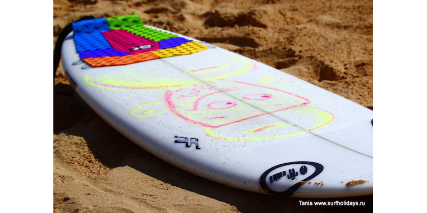 Даже козы занялись серфингом