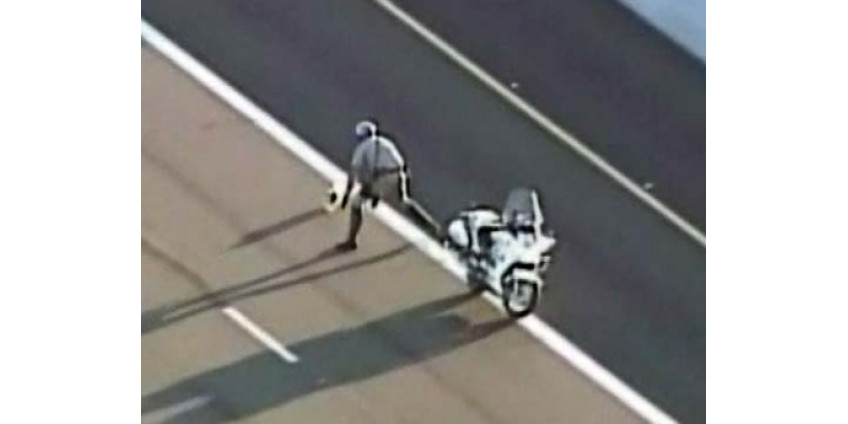 Полицейские гонялись за собакой по автостраде