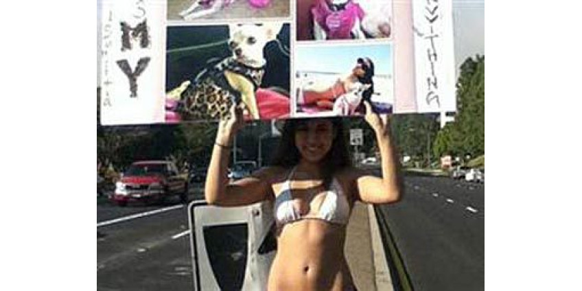 Ради воссоединения с псом можно и поголодать в бикини