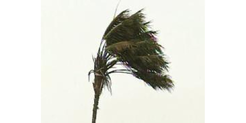 На выходных ожидаются ветра