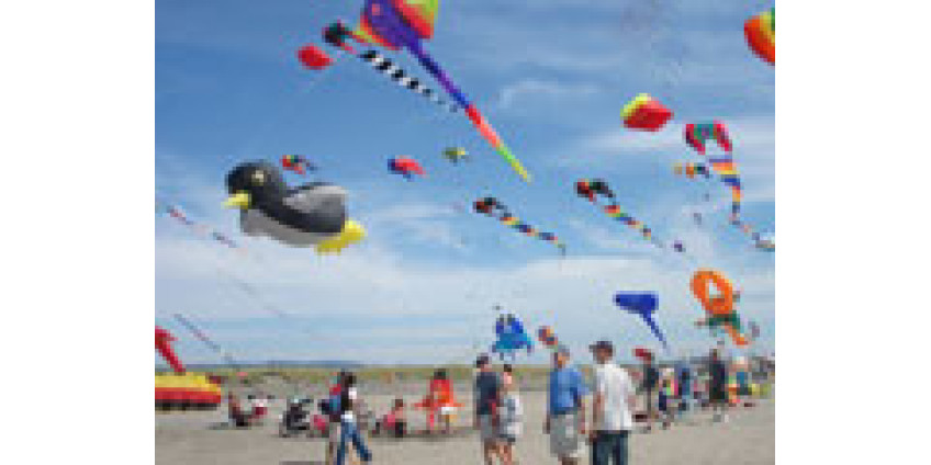 Калифорнию ожидает фестиваль воздушных змеев