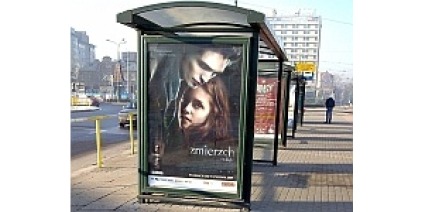 Страсть к постерам привела на скамью подсудимых