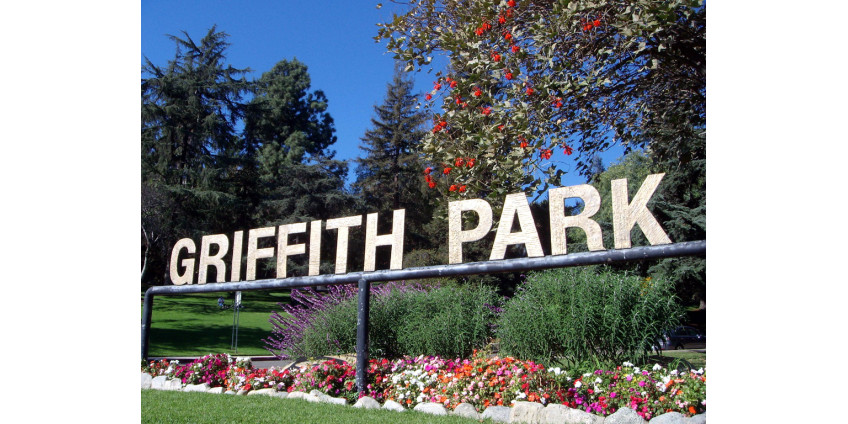 Лучший отдых – хорошая прогулка