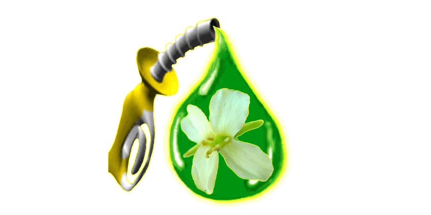 В Калифорнии создали уникальное биотопливо