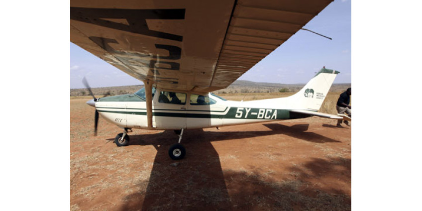 Глупость не дала свершиться преступлению