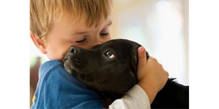 Собаки помогут учиться читать