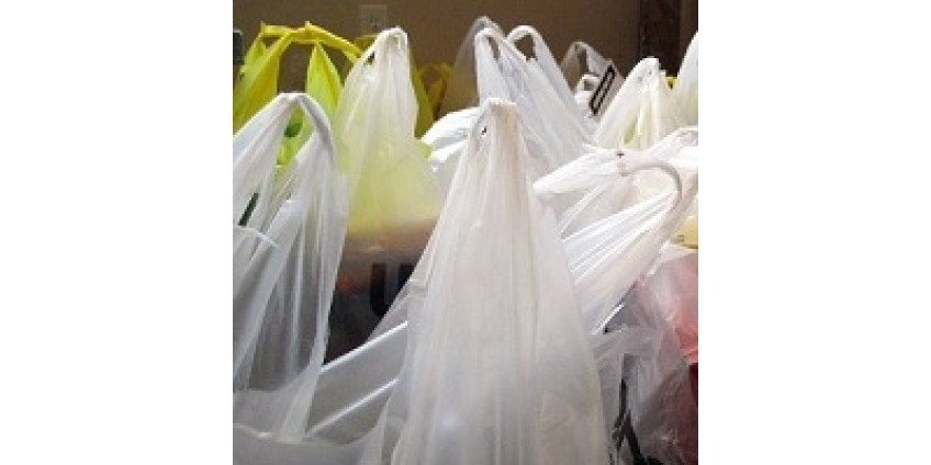 В Лос-Анджелесе больше не будет пластиковых пакетов