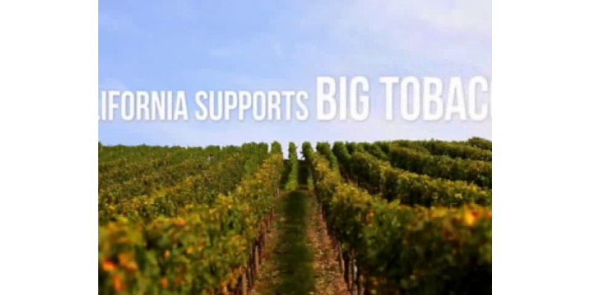 Табачные войны в Калифорнии