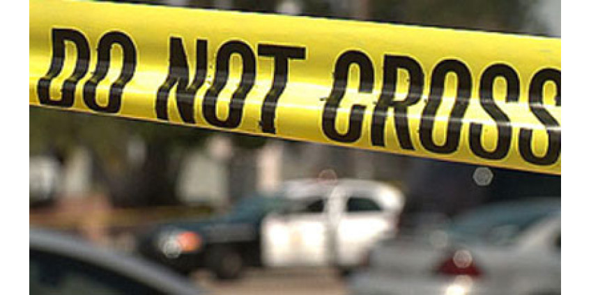 В Сан-Диего украдена картина Пикассо