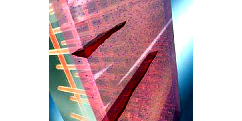 В Сан-Диего представили пластик, похожий на кожу