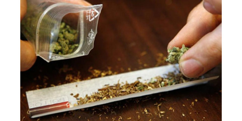 Жители Лос-Анджелеса против закрытия пунктов продажи марихуаны