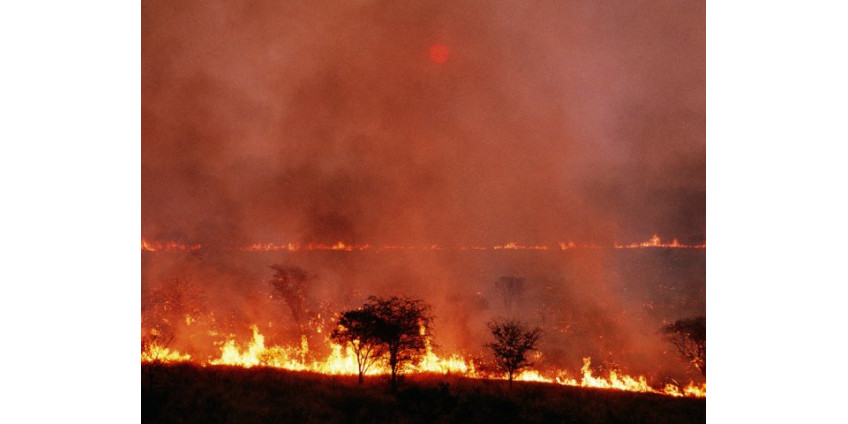 За пожар два дня тюрьмы