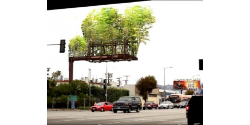 С загрязнением воздуха борются живые билборды