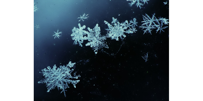 В Калифорнии устроили искусственный снегопад