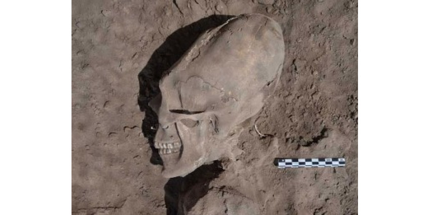 Ученые из Аризоны сделали удивительное открытие 