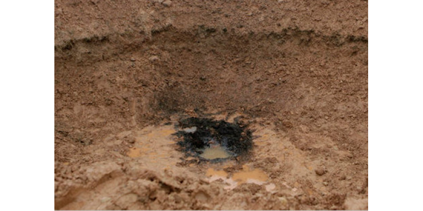 Метеорит, который упал в Калифорнии, может быть ровесником Солнечной системы