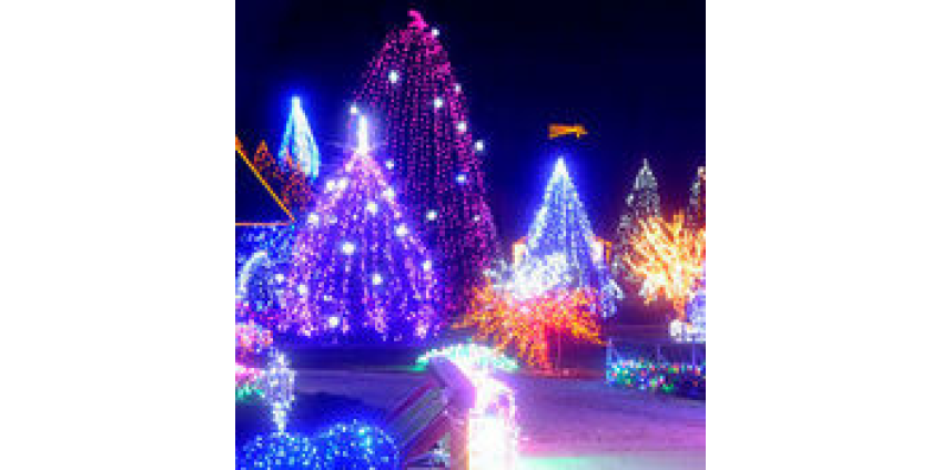 Жительница Калифорнии  украсила свой дом гирляндой из 65 тыс. лампочек