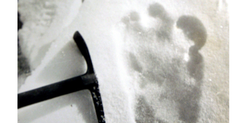 В Аризоне нашли убежище снежного человека