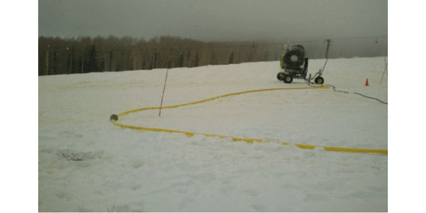 Желтый снег Аризоны