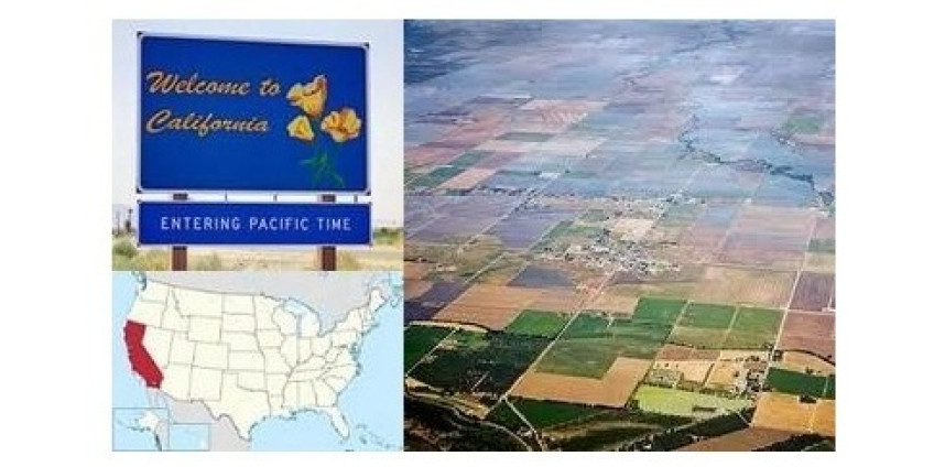 Калифорния – ведущий производитель овощей в Штатах