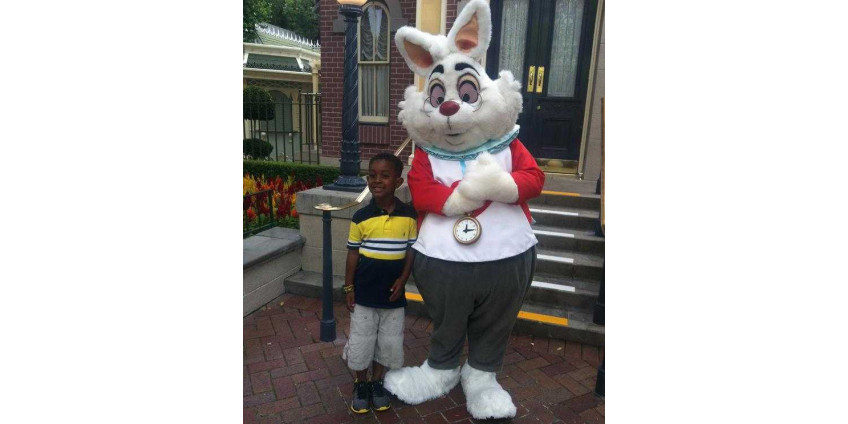 Семью из Сан-Диего унизил кролик