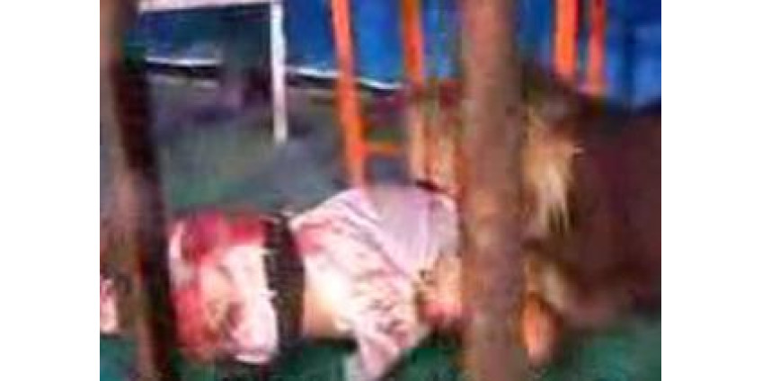 Лев разорвал девушку в калифорнийском питомнике