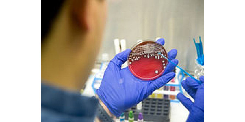 В Городе Ангелов готовятся к эпидемии менингита