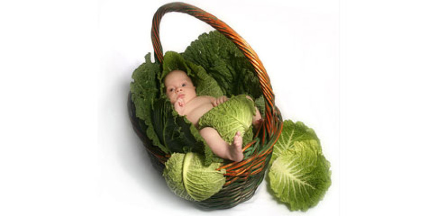 Однополые пары смогут оформить страховку от бесплодия