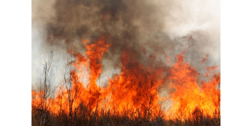 Калифорнийский сезон пожаров может оказаться опасным