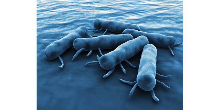 В Неваде обнаружены огурцы с сальмонеллой