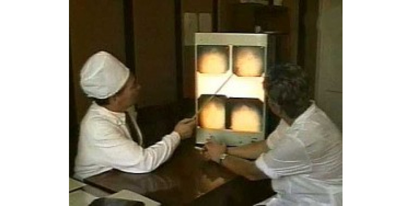 Утечка мозгов вместо насморка