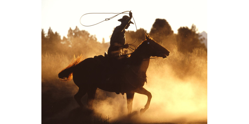 В Аризоне будут праздновать День ковбоя