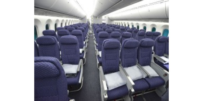 Пассажиров попросили покинуть самолет из-за разговоров на русском
