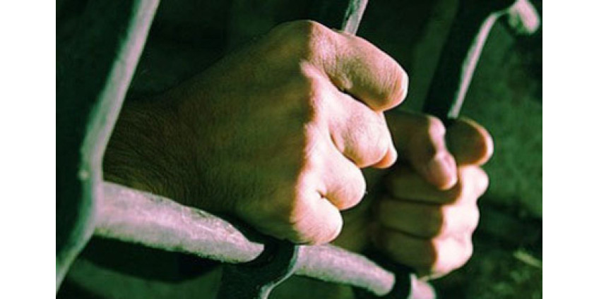 Владельцу собак, растерзавших пенсионерку, грозит пожизненное заключение