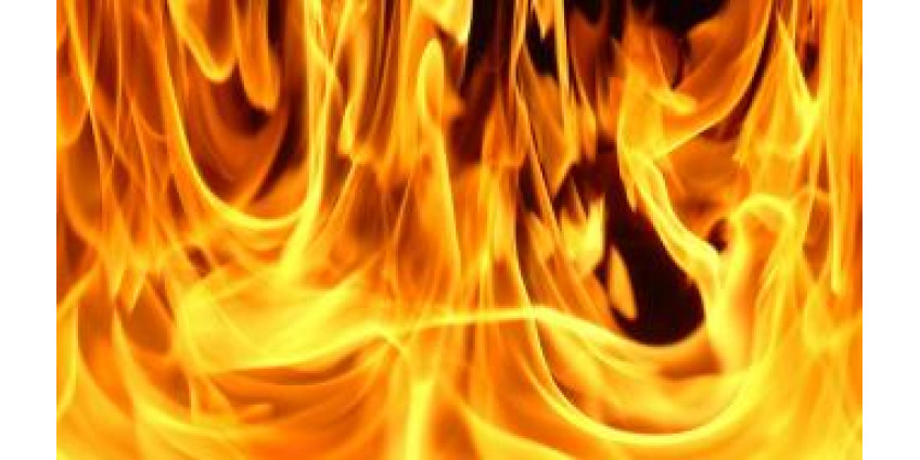 Лесные пожары в Калифорнии взяты под контроль