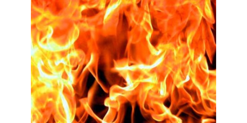 Пожарные из Лас-Вегаса сами поджигают лес