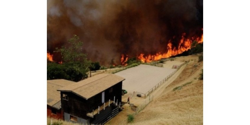 8 тысяч человек эвакуируют из-за пожаров в Калифорнии