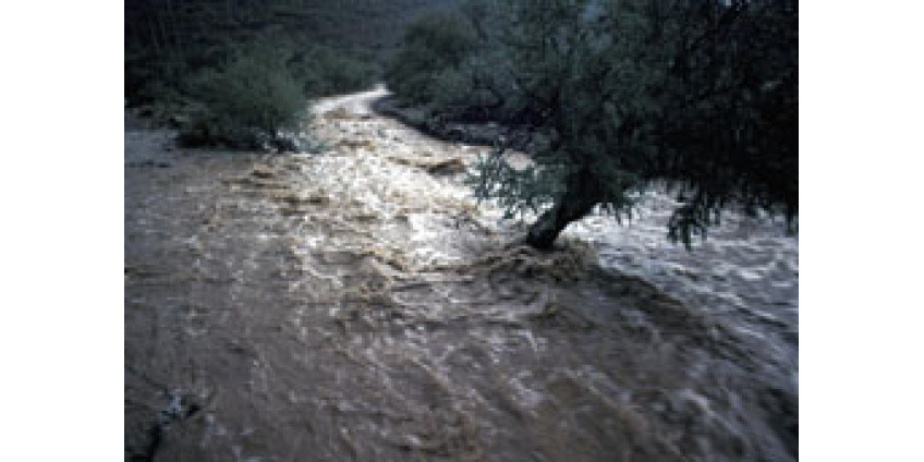 В Аризоне ликвидируют последствия мощных ливней