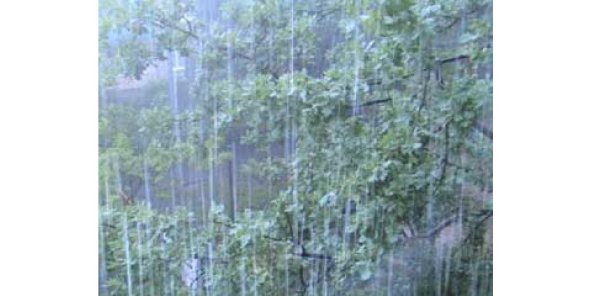 В Вегасе разыгралась стихия