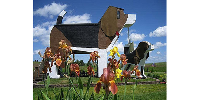 В Аризоне построен дом-собака