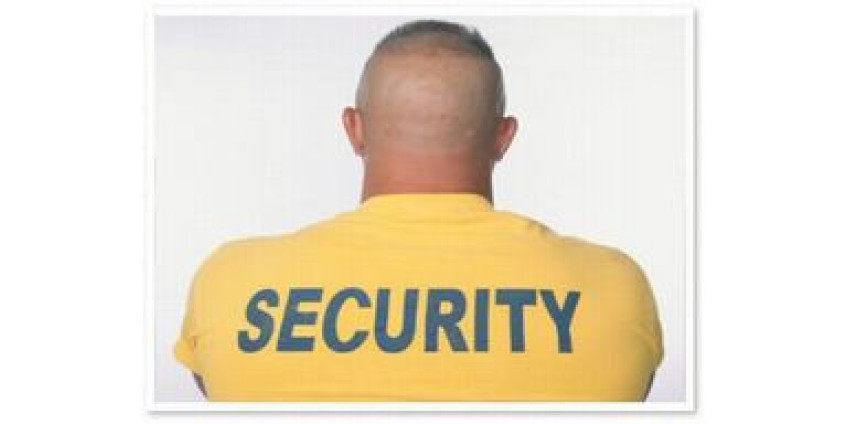 Жители Калифорнии обеспечат безопасность своими силами