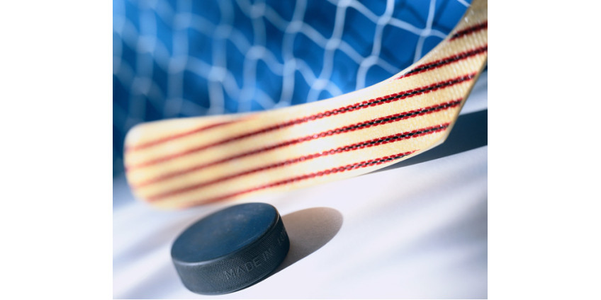 Леблан хочет возродить хоккейный рынок Аризоны