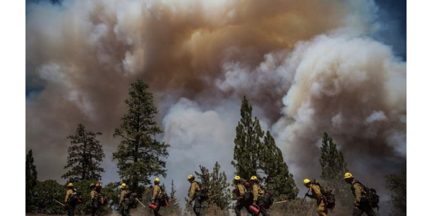 Площадь пожара увеличивается