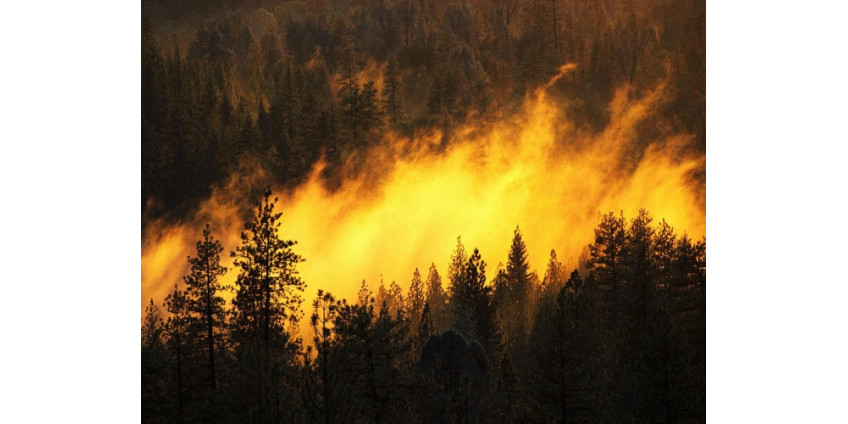 Пожары тушат двадцать вертолетов