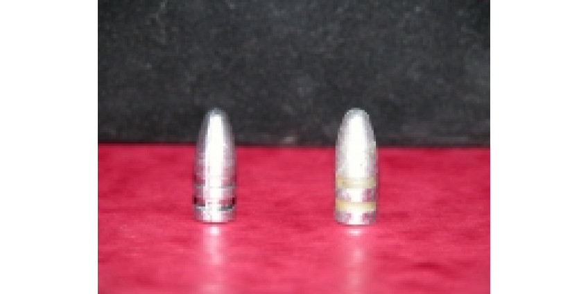 В Калифорнии может быть введен запрет на охоту с использованием свинцовых пуль