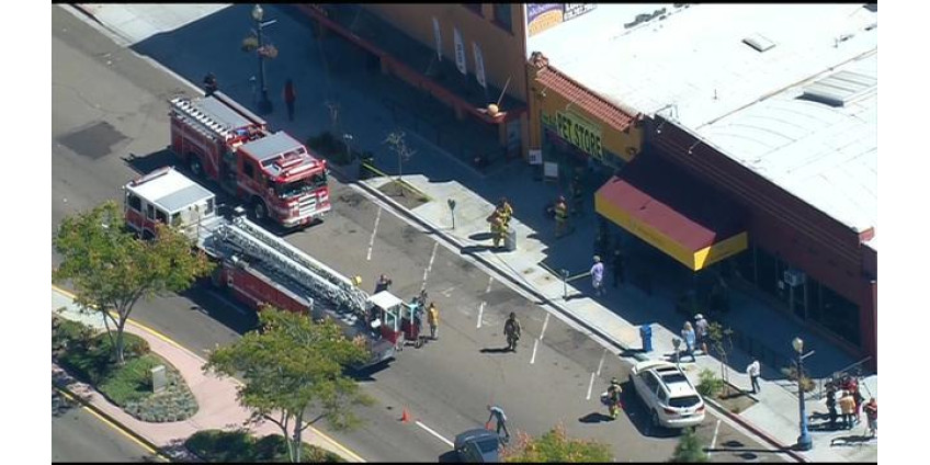 Пожар в зоомагазине мог быть поджогом