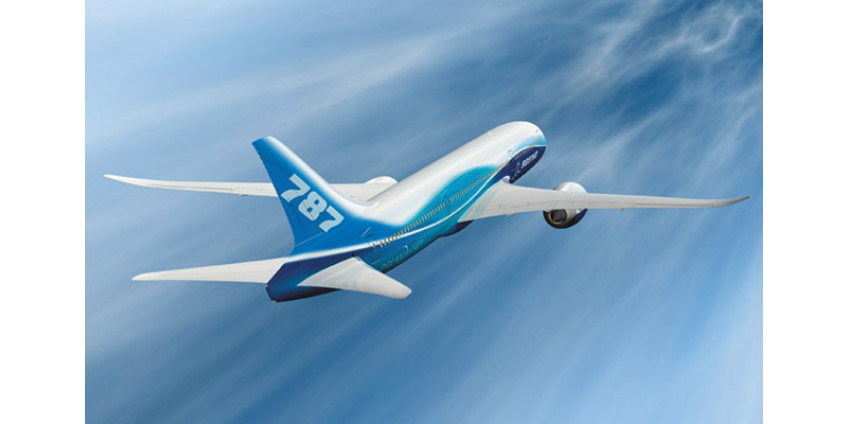 «Лайнер мечты» совершил вынужденную посадку