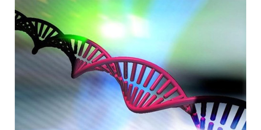 В Лос-Анджелесе рассматривают законопроект о запрете ГМО-семян