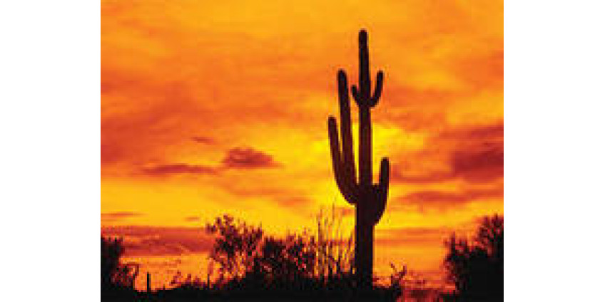 Власти обнаружила еще один туннель для транспортировки наркотиков в Штаты