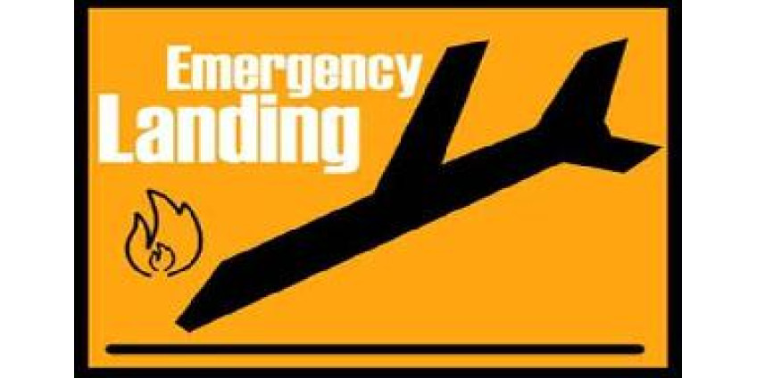 Самолет, летевший из Сан-Диего, столкнулся с птицей